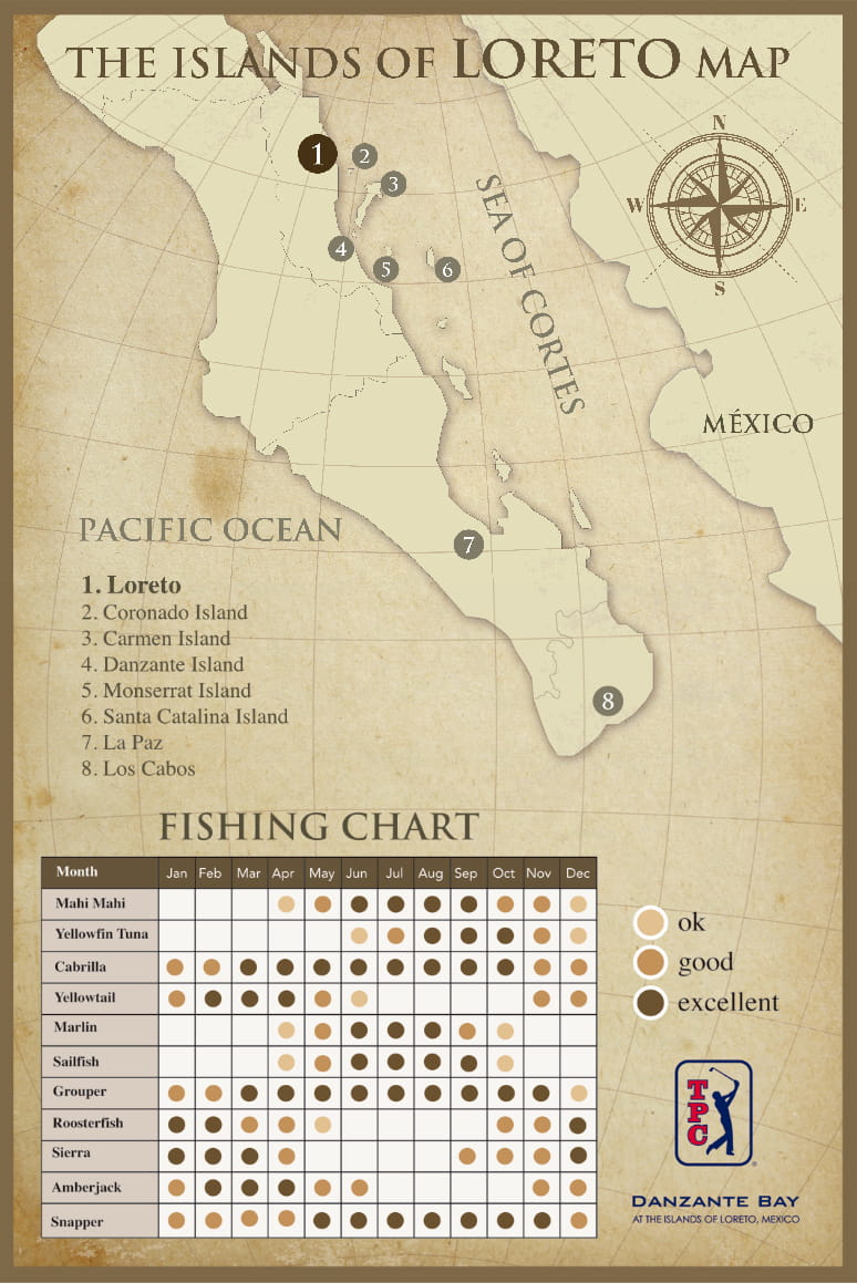 especies de pesca en loreto baja california sur