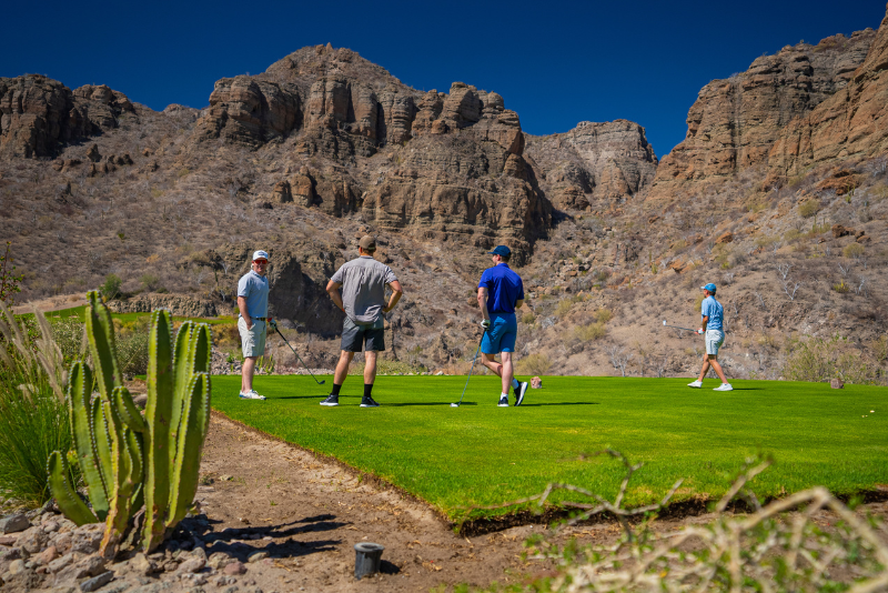 conservación del medio ambiente en tpc danzante bay loreto bcs