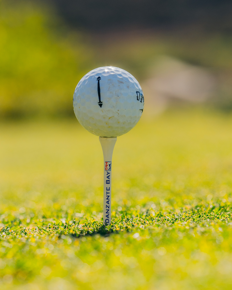 pelota de golf