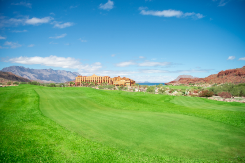 por-que-la-temporada-intermedia-es-el-secreto-mejor-guardado-para-jugar-tpc-danzante-bay