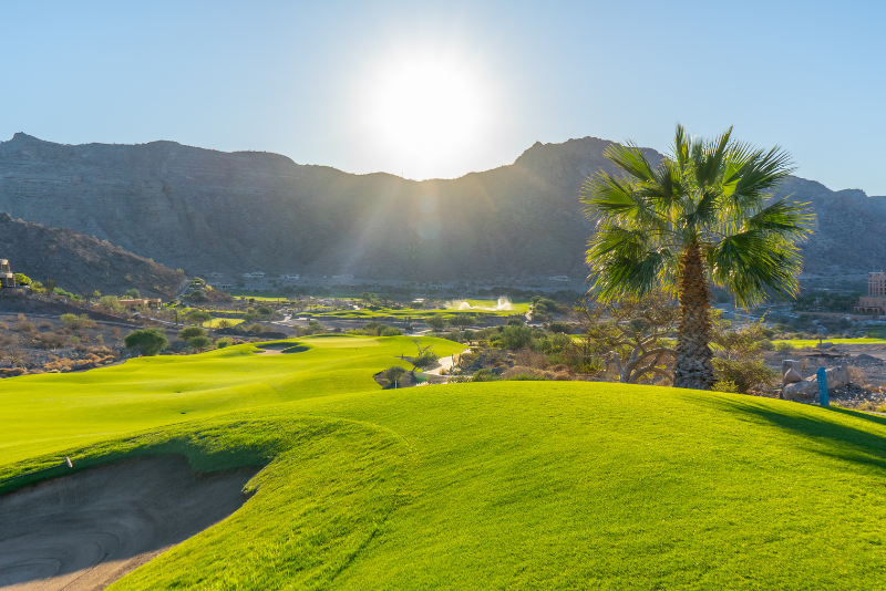 por-que-la-temporada-intermedia-es-el-secreto-mejor-guardado-para-jugar-tpc-danzante-bay